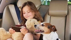 Foto de Todo lo que hay que saber para proteger correctamente a los perros en los viajes de verano en carretera