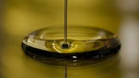 Picture of [es] Se buscan nuevas herramientas para agilizar la clasificacin de los aceites vrgenes de oliva