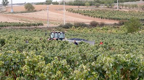 Fotografia de [es] ASAJA, COAG y UPA piden ayudas directas para garantizar el futuro de los viticultores