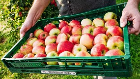 El uso de Envases Reutilizables de Transporte (ERTs) reduce el consumo de energa en la distribucin agroalimentaria y contribuye a los objetivos de la COP 28