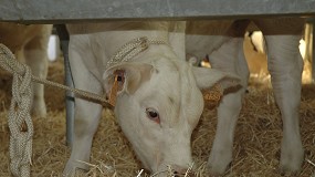 Convenio del MAPA con la Unin de Charols para el depsito de material gentico