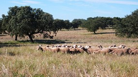 Fotografia de [es] Arranca el Grupo Operativo PECUS con el objetivo de fomentar la ganadera extensiva