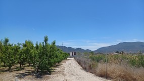 Foto de Seiasa inicia las obras para modernizar 4.500 hectreas de regado en Murcia