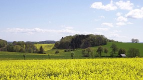 Fotografia de [es] La superficie acogida a las ayudas asociadas se increment un 5% entre los aos 2015 y 2022