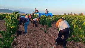 Foto de Necesidad de mano de obra, una asignatura pendiente del campo