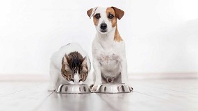 Foto de Ni la comida casera es siempre mejor para los perros ni los gatos deben comer dietas veganas: desmontando mitos sobre alimentacin animal