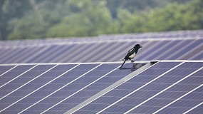 Foto de Unef lanza la cuarta edicin del concurso PHOTOvoltaica