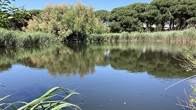 Foto de Una investigacin muestra la eficacia de los humedales para eliminar antibiticos en el tratamiento de aguas residuales