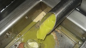 Foto de Optimizacin de las regulaciones industriales (la toma de decisiones) para minimizar las prdidas de aceite de la variedad arbequina