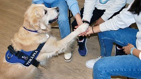Cinco maneras en las que las terapias asistidas con perros mejoran nuestro bienestar f�sico y emocional