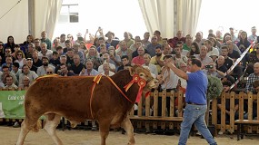 Foto de xito de adjudicaciones en la Subasta Nacional de Ganado Bovino de Salamaq 24