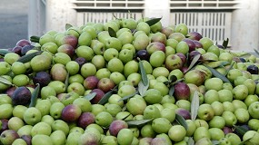 Foto de Asemesa llevar a los tribunales la intencin de fijacin de precios mnimos