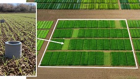 Foto de Cmo podemos reducir la huella de carbono de la fertilizacin?