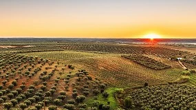 Foto de Cooperativa Agrcola de Moura e Barrancos promove conferncia sobre o setor do Azeite em Portugal