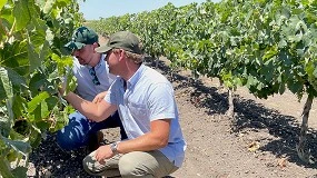 Foto de Koppert presentar en Fruit Attraction su red mundial de fincas demostrativas y su nueva aplicacin gestionada por IA