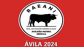 Foto de vila acoge el 48 Concurso-Subasta Nacional de la Raza Avilea-Negra Ibrica