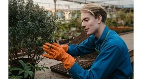 Foto de Enfermedades de plantas comunes en otoo: Cmo podemos prevenirlas?