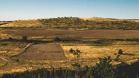 Foto de Portugal e Espanha devem concertar posies para defender especificidades ibricas