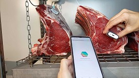 Foto de Informacin y formacin para una carne madurada segura y de calidad