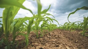 Foto de Manejo, insumos y tecnologa sern las claves del III Congreso de Gestin Sostenible del Suelo