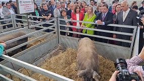 Foto de El ministro Luis Planas recalca en Zafra el apoyo del Gobierno a la ganadera