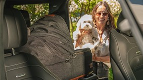 Foto de Tavo, la nueva lnea de sistemas de seguridad para mascotas de Nuna Baby