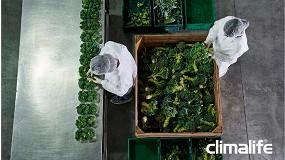 Foto de Climalife impulsa la descarbonizacin en la industria agroalimentaria