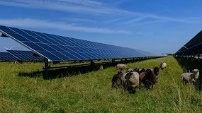 Foto de O alvorecer da agricultura solar fotovoltaica