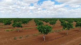 Fotografia de [es] Alianza entre Fertiberia y Grupo IberoPistacho para aplicar nuevas soluciones de fertilizacin