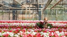 Foto de Lanzan una base de conocimientos sobre sostenibilidad para viveristas y comercializadoras de planta y flor