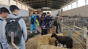 Foto de Alumnos de grado medio y superior visitan una explotación de raza ovina Lojeña