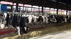 Foto de Vaticinan un descenso de la produccin de leche en el ltimo cuatrimestre de 2024