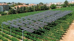 Foto de Galp e ISA anunciam o seu primeiro projeto agrovoltaico em Portugal