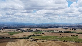 Fotografia de [es] Cmo afecta la climatologa a las estrategias de fertilizacin en el cereal de invierno? Resultados 'On-farm' en Castilla y Len