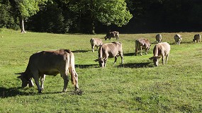 Mejorar la resiliencia de la ganadera de alta montaa pirenaica al cambio climtico