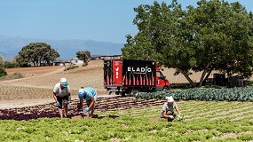 Foto de Frutas y Verduras Eladio alcanza los 30 millones de euros de facturacin