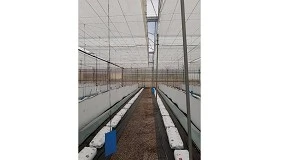 Foto de Sistema híbrido pasivo de refrigeración y calefacción para invernaderos mediterráneos: estudio en un cultivo de pimiento