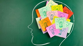 La influencia de las tendencias socioculturales en la innovacin del sector de la puericultura