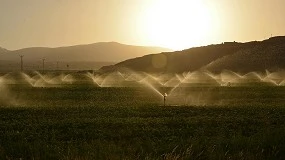 Foto de Consulai disponvel para elaborar candidaturas em investimento agrcola