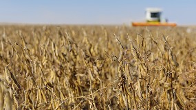 Foto de Las cosechadoras de cereales ceden campo