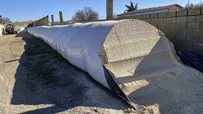 Foto de El pienso para cabras de leche se abarata un 13% en el ltimo ao