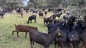 Foto de La rentabilidad de lo ecolgico