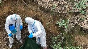 Foto de Catalua lleva a cabo un simulacro de emergencia por foco de peste porcina africana