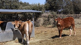 Foto de Piden soluciones en el saneamiento para la huelga de veterinarios en Castilla y Len