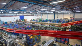 Grupo Agroponiente prev alcanzar 380 millones de kilos y 400 millones de euros en la campaa 2024/2025