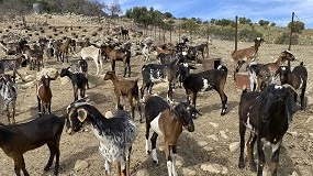 Foto de Curso de Pastores Tutores para recibir alumnos en prácticas en granjas ganaderas