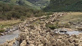 Foto de Mejorar la percepcin social para lograr la supervivencia del pastoreo tradicional