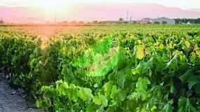 Foto de Productores de Castilla La Mancha piden la revisin del sistema de seguros agrarios