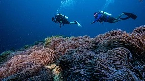 Foto de Sergio Gago, fundador de Divescover, se une a Scuba Finders como Advisor