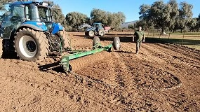 Foto de El Cicytex implementa buenas prcticas de gestin de pastos en reas de dehesa